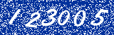 Capcha image